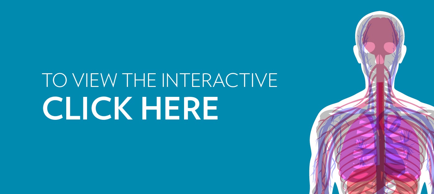 To view the interactive click here